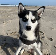 Linda